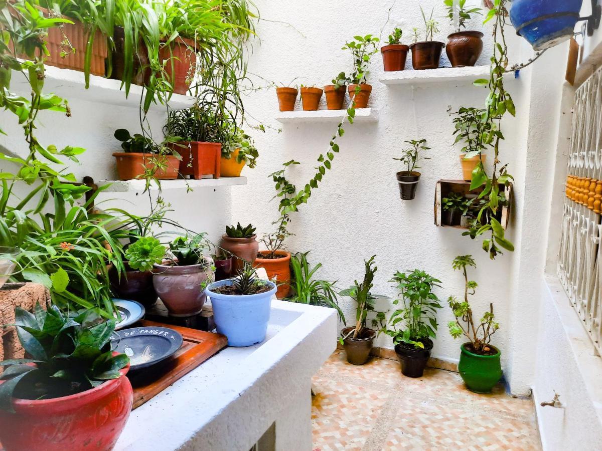 DAR AYOUB Entire House in Tangier near PALAIS MARCHAN Exterior foto
